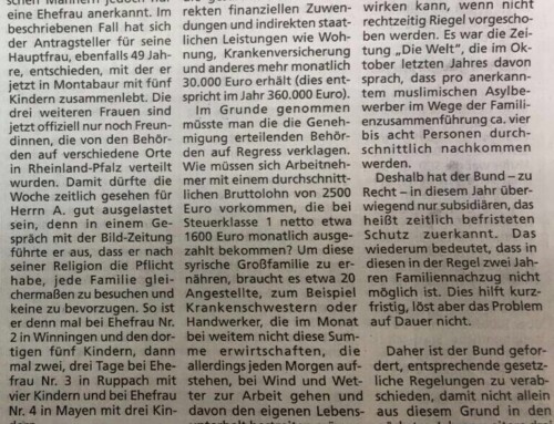 Unglaublich! 30.000€ monatlich für eine syrische Großfamilie